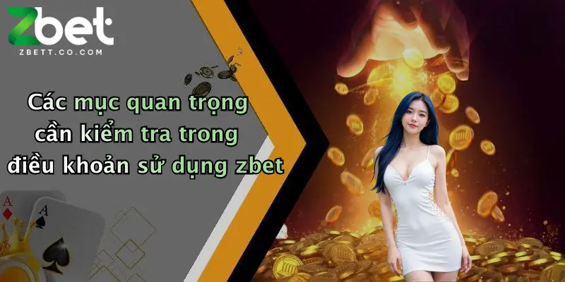 Các mục quan trọng cần kiểm tra trong điều khoản sử dụng zbet
