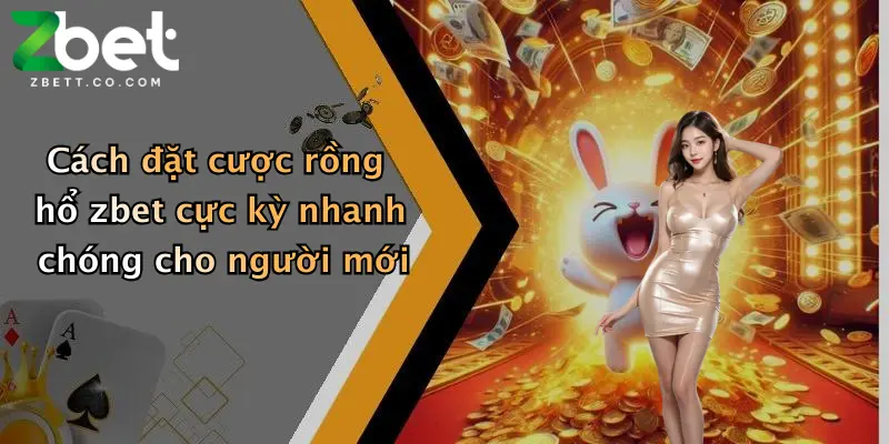 Cách đặt cược rồng hổ zbet cực kỳ nhanh chóng cho người mới