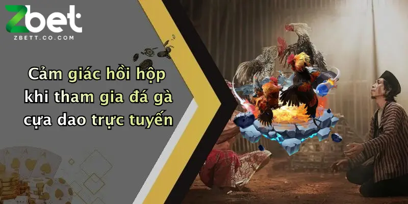 Cảm giác hồi hộp khi tham gia đá gà cựa dao trực tuyến