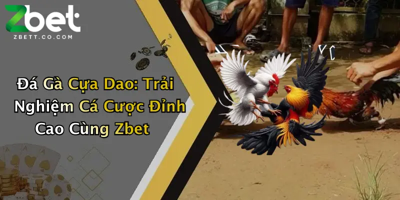 Đá Gà Cựa Dao: Trải Nghiệm Cá Cược Đỉnh Cao Cùng Zbet