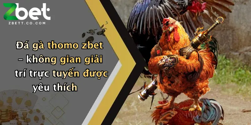 Đá gà thomo zbet – không gian giải trí trực tuyến được yêu thích