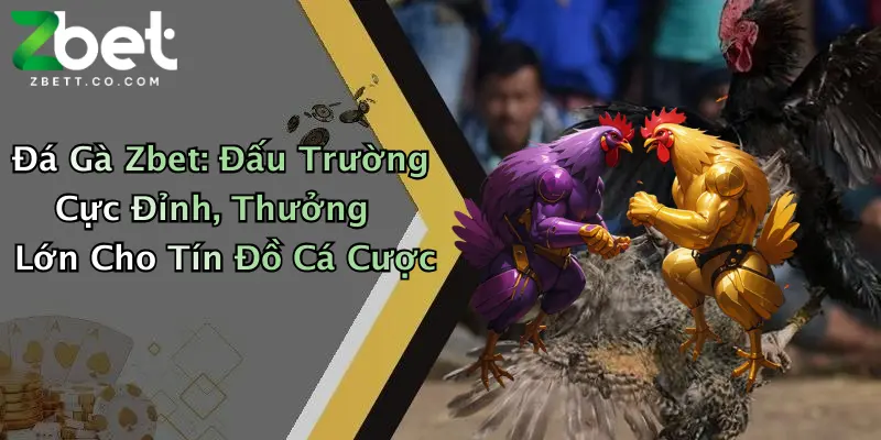 Đá Gà Zbet: Đấu Trường Cực Đỉnh, Thưởng Lớn Cho Tín Đồ Cá Cược