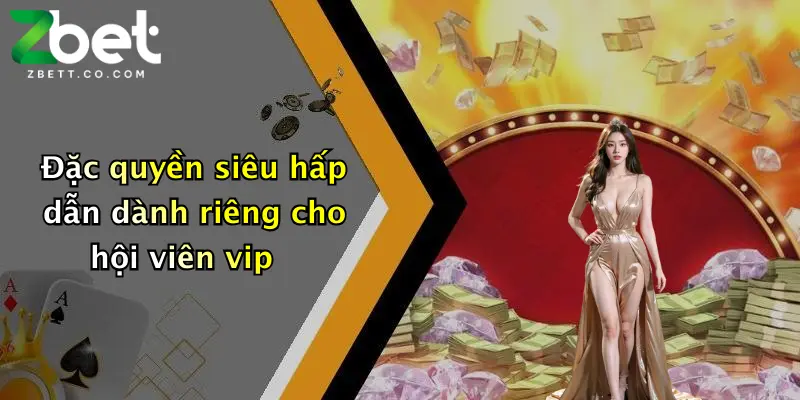 Đặc quyền siêu hấp dẫn dành riêng cho hội viên vip