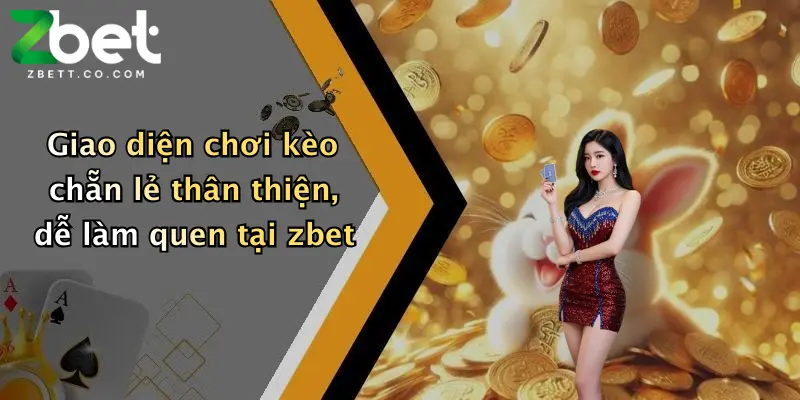 Giao diện chơi kèo chẵn lẻ thân thiện, dễ làm quen tại zbet