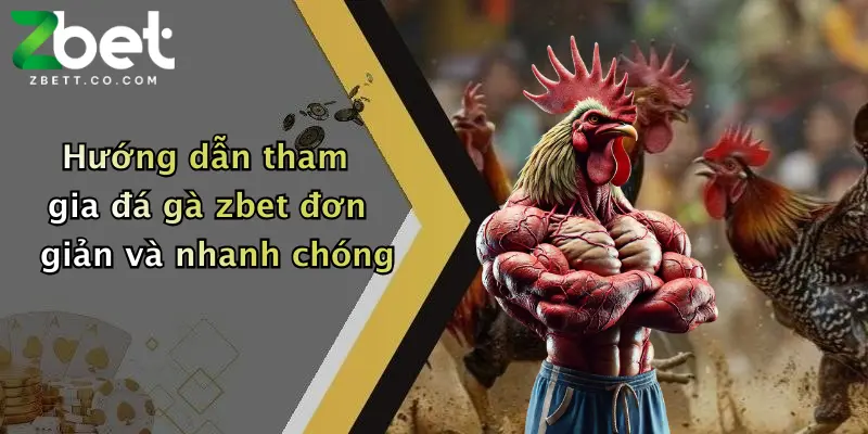 Hướng dẫn tham gia đá gà zbet đơn giản và nhanh chóng