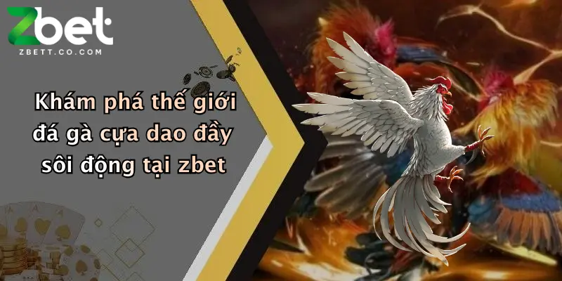 Khám phá thế giới đá gà cựa dao đầy sôi động tại zbet