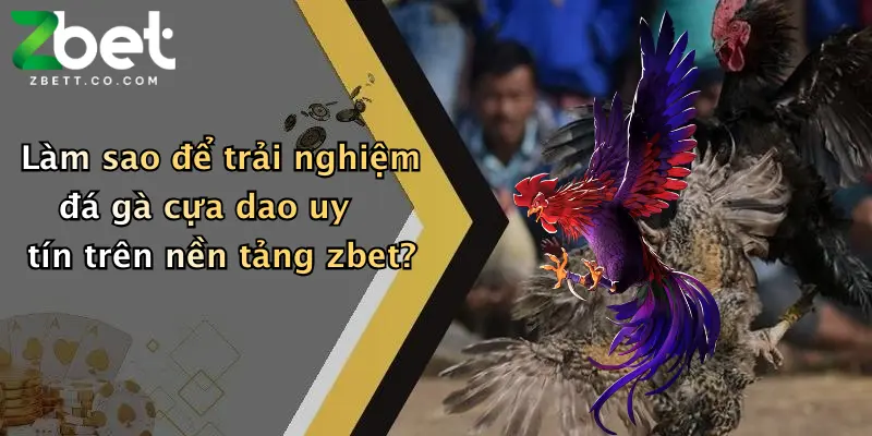 Làm sao để trải nghiệm đá gà cựa dao uy tín trên nền tảng zbet?