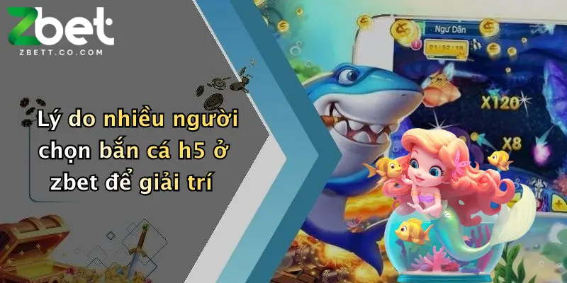 Lý do nhiều người chọn bắn cá h5 ở zbet để giải trí