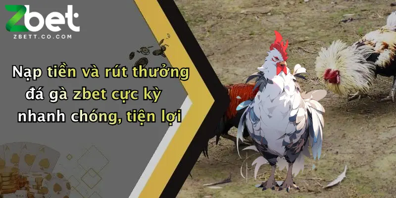 Nạp tiền và rút thưởng đá gà zbet cực kỳ nhanh chóng, tiện lợi