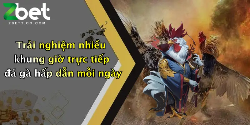 Trải nghiệm nhiều khung giờ trực tiếp đá gà hấp dẫn mỗi ngày